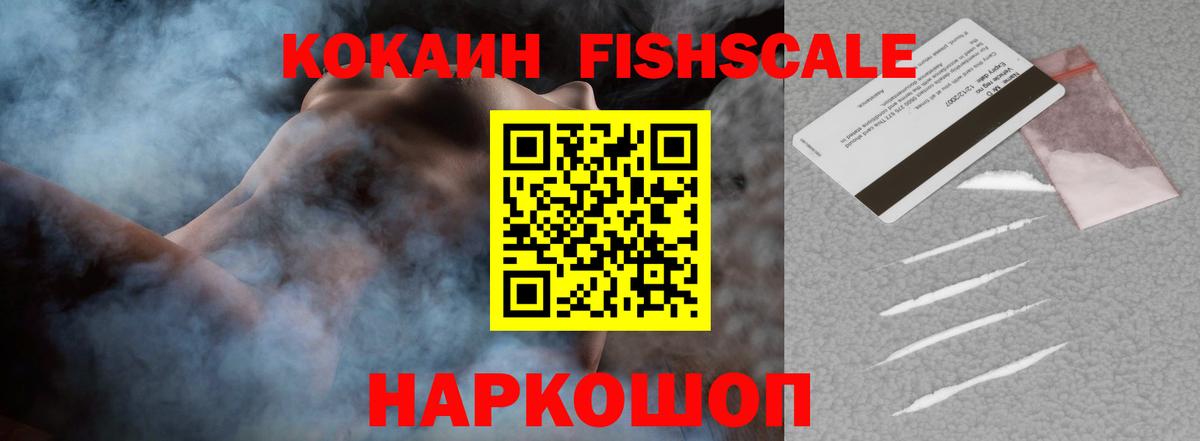 Кокаин Fish Scale Камышлов