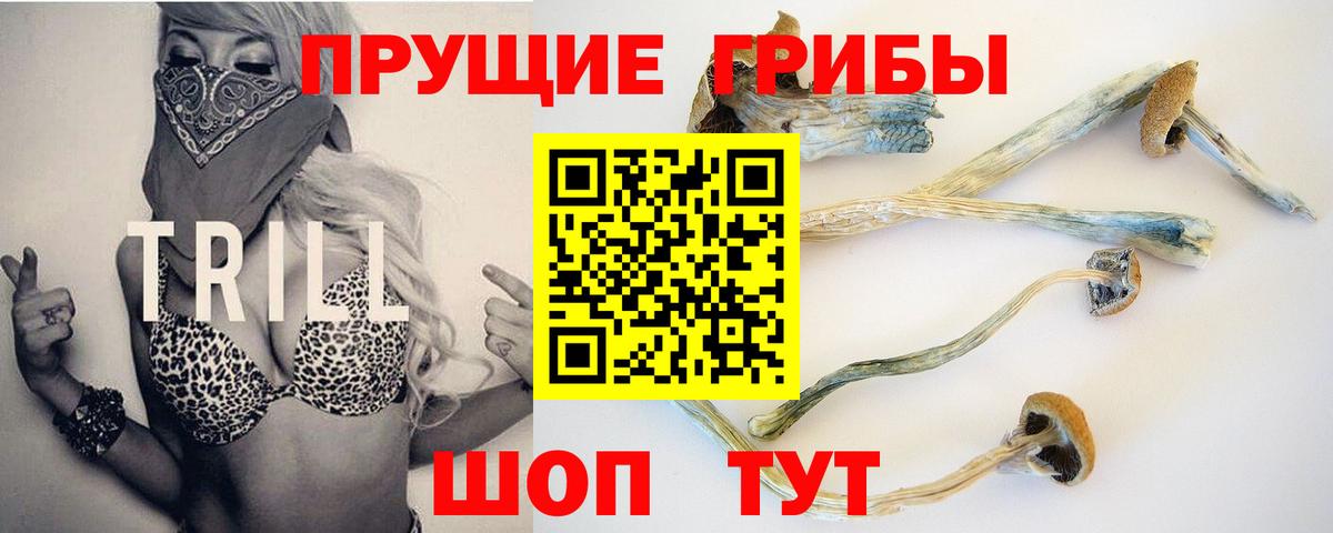 Галлюциногенные грибы ЛСД Камышлов